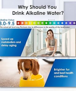 Waterdrop Alkaline Water Filter Dispenser, Large 40-Cup, 2 Replacement Filters, Healthy, Clean & Toxin-Free Mineralized Water, 100-Gallon, BPA Free 2