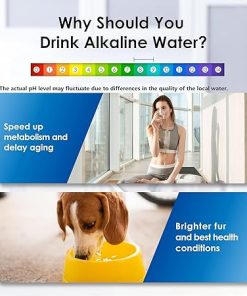 Waterdrop Alkaline Water Filter Dispenser 40-Cup with 2 Original Waterdrop Alkaline Filters 2